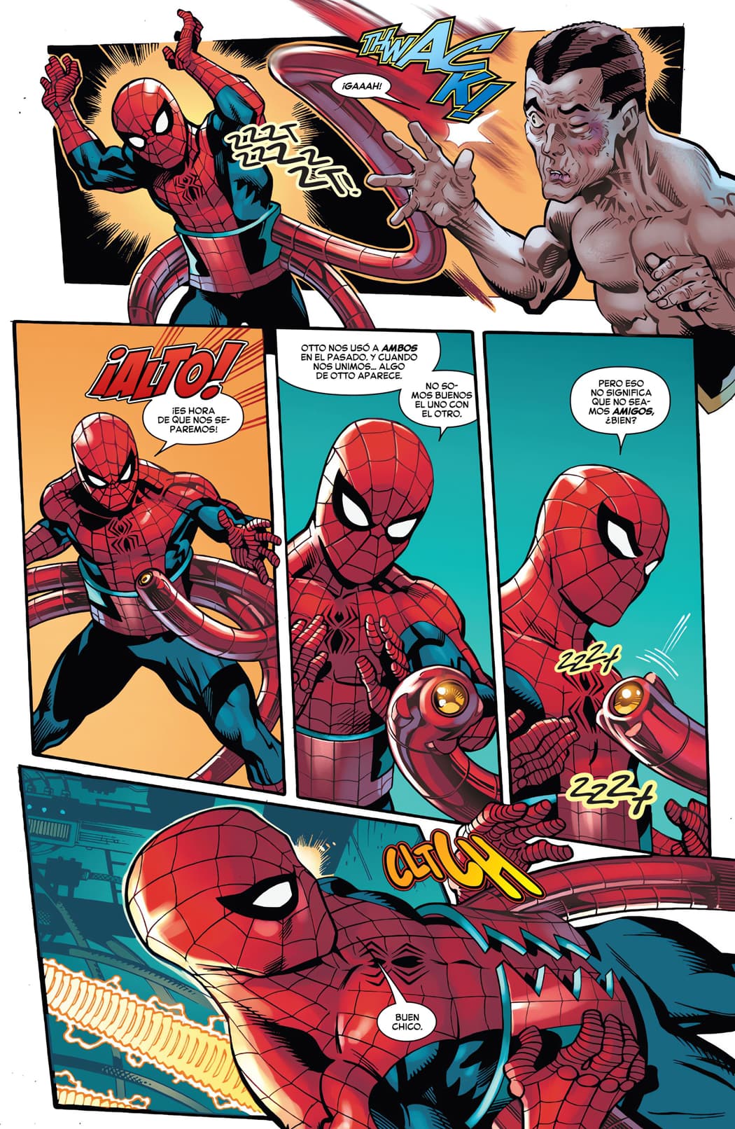 The Amazing Spider Man Marmota Comics